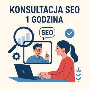 konsultacja seo 1 godzina