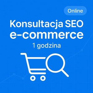 konsultacja seo e-commerce 1 godzina